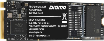 Digma Mega M2 256GB DGSM3256GM23T 