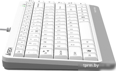 Клавиатура A4Tech Fstyler FKS11 (белый/серый) 