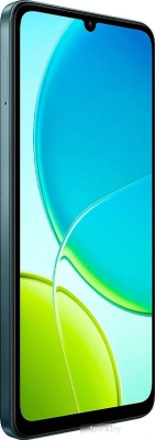 Vivo Y04 4GB/128GB международная версия (малахитовый черный) 