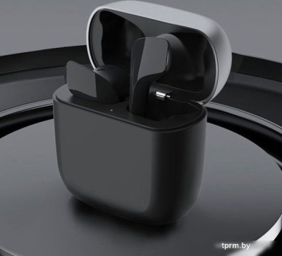 Наушники Sabbat JetPods (черный) 