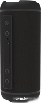 Ritmix SP-320B 
