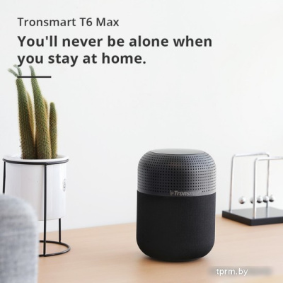 Беспроводная колонка Tronsmart T6 Max 