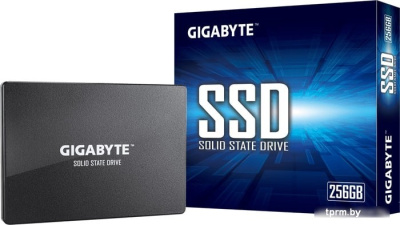 SSD Gigabyte 256GB GP-GSTFS31256GTND 