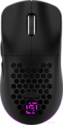 Игровая мышь Oklick 900GMW (черный) 