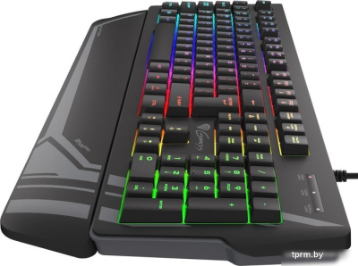 Клавиатура Genesis Rhod 350 RGB 