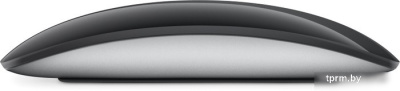 Мышь Apple Magic Mouse (черный) 