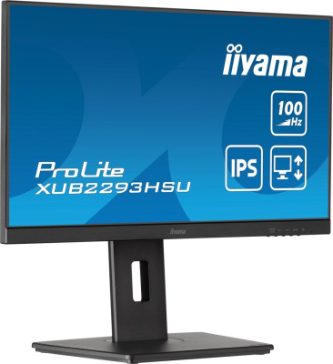 Монитор Iiyama ProLite XUB2293HSU-B7 