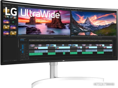 Монитор LG UltraWide 38WN95C-W 