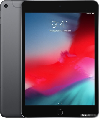 Apple iPad mini 2019 256GB LTE MUXC2 (серый космос) 