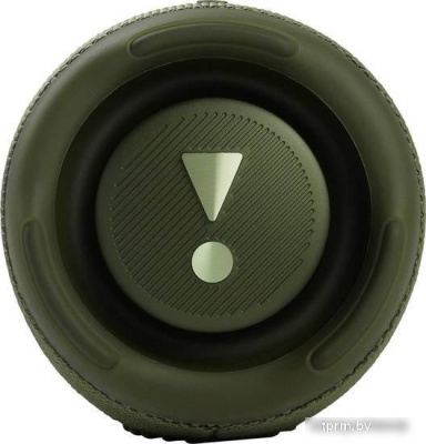 Беспроводная колонка JBL Charge 5 (зеленый) 
