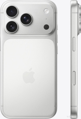 Apple iPhone 17 Pro 1TB (серебристый) 