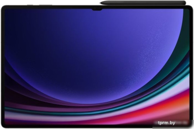 Планшет Samsung Galaxy Tab S9 Ultra 5G SM-X916 12GB/256GB (графитовый) 