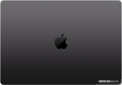 Ноутбук Apple Macbook Pro 16.2" M3 Pro 2023 MRW13 