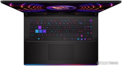 Игровой ноутбук MSI Raider GE78HX 13VI-229BY 