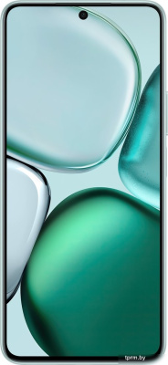 Смартфон HONOR X9c Smart 8GB/256GB (бирюзовый) 