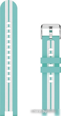 Умные часы Canyon Semifreddo SW-61 (мятный) 