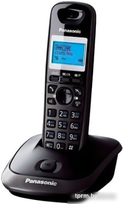 Радиотелефон Panasonic KX-TG2511UAT 