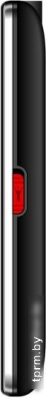 Мобильный телефон TeXet TM-B319 (черный) 