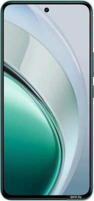 Смартфон Vivo V40 Lite 8GB/256GB международная версия (изумрудная зелень) 