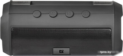 Беспроводная колонка Defender Enjoy S500 