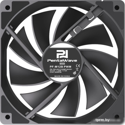 PentaWave PF-M12B PWM 