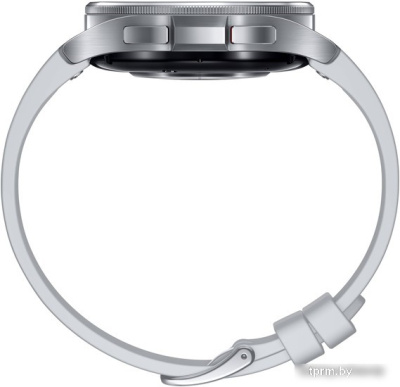 Умные часы Samsung Galaxy Watch6 Classic 43 мм (серебристый) 