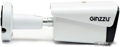 IP-камера Ginzzu HIB-5303A 
