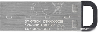 USB Flash Kingston Kyson 256GB 