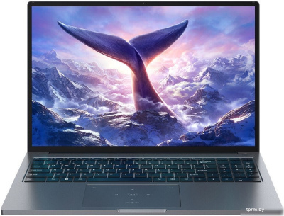 Ноутбук Blackview GamiBook 8 16GB/512GB (серый) 