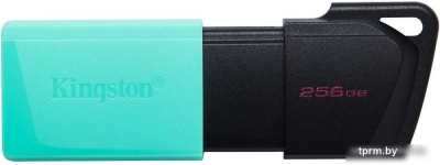 USB Flash Kingston DataTraveler Exodia M 256GB 