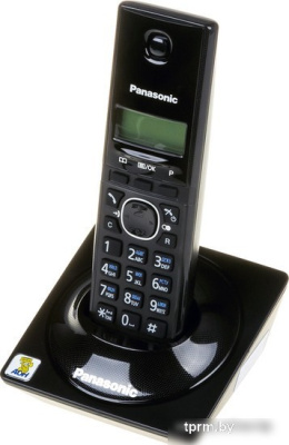 Panasonic KX-TG1711RUB 