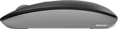 Мышь A4Tech Fstyler FG20S (серый) 