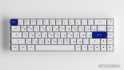 Клавиатура Akko 3068B Plus White & Blue (Akko CS Jelly Pink) 