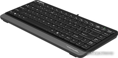 Клавиатура A4Tech Fstyler FKS11 (черный/серый) 