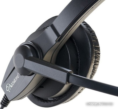 Наушники Accutone WB610 RJU 