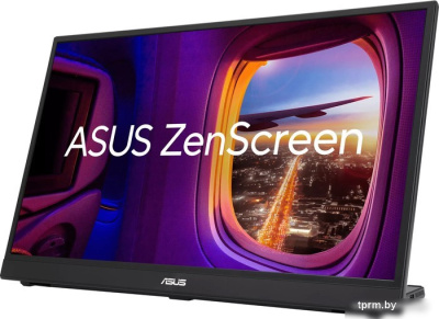 ASUS ZenScreen MB17AHG 