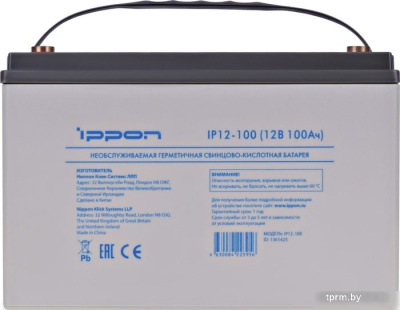 Аккумулятор для ИБП IPPON IP12-100 (12В/100 А·ч) 