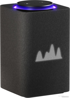 Яндекс Станция Макс (с хабом умного дома Zigbee, графит) 