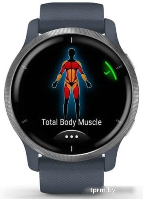 Умные часы Garmin Venu 2 (нержавеющая сталь/синий гранит) 