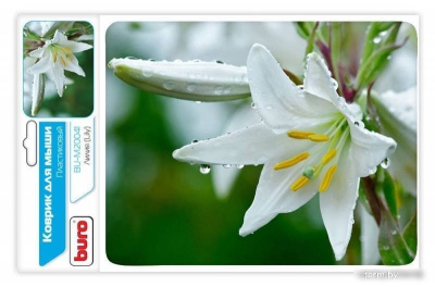 Коврик для мыши Buro BU-M20041 