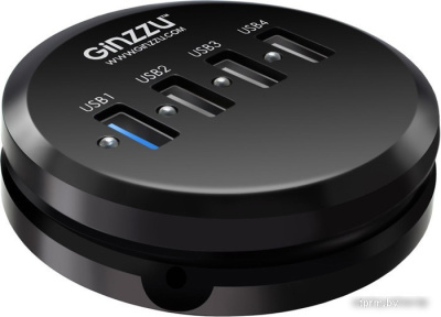 Ginzzu GR-314UB 