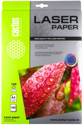 CACTUS глянцевая A4 160 г/кв.м. 100 листов [CS-LPA4160100] 