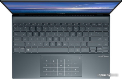 Ноутбук ASUS ZenBook 13 UX325EA-KG908W 