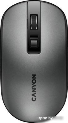 Мышь Canyon CNS-CMSW18DG 