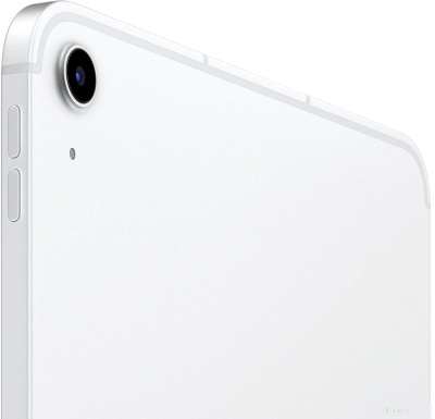 Apple iPad 11" 2025 5G 256GB (серебристый) 
