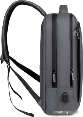 Miru Emotion 15.6 (серый) 