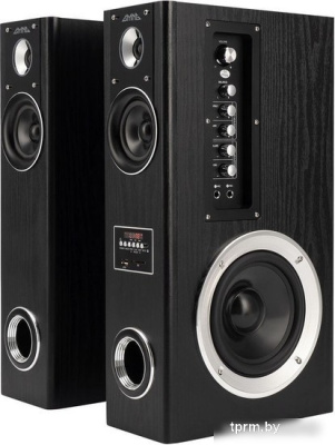 Акустика GMNG GG-SP600AC 
