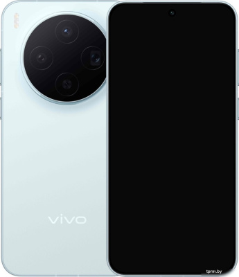 Vivo X300 V2515 16GB/512GB международная версия (голубой) 
