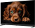 Topdevice 55" QLED DQ08 Topdevice 55" QLED DQ08