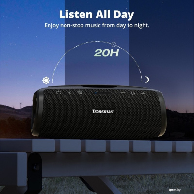 Tronsmart Mirtune S100 (черный) 